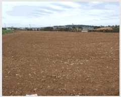  2025Ÿ7623    ŵ 2804-1      (Ӿ)