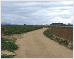  2025Ÿ7623    ŵ 2804-1      (Ӿ)