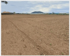  2025Ÿ7623    ŵ 2804-1      (Ӿ)