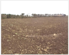  2025Ÿ7623    ŵ 2804-1      (Ӿ)