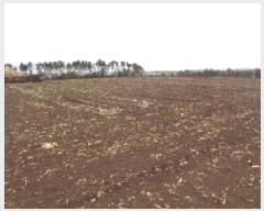  2025Ÿ7623    ŵ 2804-1      (Ӿ)