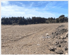  2025Ÿ��7650 ���� �������� �ȴ��� ������ 519-1      ����(�Ӿ�)���