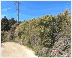  2025Ÿ��7650 ���� �������� �ȴ��� ������ 519-1      ����(�Ӿ�)���