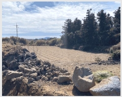  2025Ÿ��7650 ���� �������� �ȴ��� ������ 519-1      ����(�Ӿ�)���