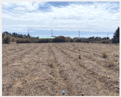  2025Ÿ��7650 ���� �������� �ȴ��� ������ 519-1      ����(�Ӿ�)���