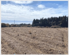  2025Ÿ��7650 ���� �������� �ȴ��� ������ 519-1      ����(�Ӿ�)���