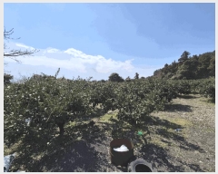  2025Ÿ��7688 ���� �������� ǥ���� ��õ�� 454      ����(������)���