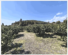  2025Ÿ��7688 ���� �������� ǥ���� ��õ�� 454      ����(������)���