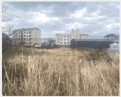  2025Ÿ��7696 ���� ���ֽ� ȭ���ϵ� 4108-2       ����(�Ӿ�)���