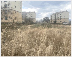  2025Ÿ��7696 ���� ���ֽ� ȭ���ϵ� 4108-2       ����(�Ӿ�)���