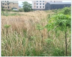  2025Ÿ��7696 ���� ���ֽ� ȭ���ϵ� 4108-2       ����(�Ӿ�)���