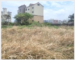  2025Ÿ��7696 ���� ���ֽ� ȭ���ϵ� 4108-2       ����(�Ӿ�)���