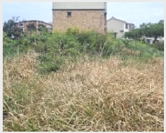  2025Ÿ��7696 ���� ���ֽ� ȭ���ϵ� 4108-2       ����(�Ӿ�)���