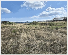  2025Ÿ��7705 ���� ���ֽ� ��õ�� �Դ��� 2125      ����(������)���