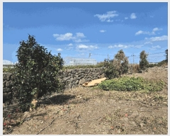  2025Ÿ��7705 ���� ���ֽ� ��õ�� �Դ��� 2125      ����(������)���