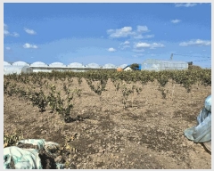  2025Ÿ��7705 ���� ���ֽ� ��õ�� �Դ��� 2125      ����(������)���