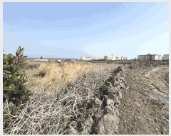  2025Ÿ��7713 ���� ���ֽ� ��ȣ�ϵ� 1836-2       ����(��1)���