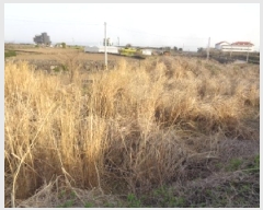  2025Ÿ��7713 ���� ���ֽ� ��ȣ�ϵ� 1836-2       ����(��1)���