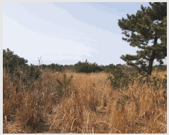  2025Ÿ��7731 ���� ���ֽ� ������ ����� 2319      ����(��1)���