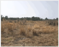  2025Ÿ��7731 ���� ���ֽ� ������ ����� 2319      ����(��1)���