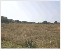  2025Ÿ��7731 ���� ���ֽ� ������ ����� 2319      ����(��1)���