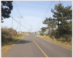  2025Ÿ��7731 ���� ���ֽ� ������ ����� 2319      ����(��1)���