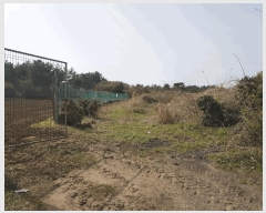  2025Ÿ��7731 ���� ���ֽ� ������ ����� 2319      ����(��1)���