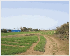  2025Ÿ��7731 ���� ���ֽ� ������ ����� 2319      ����(��1)���