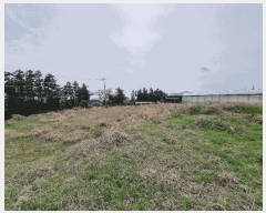  2025Ÿ��7758 ���� �������� ���޵� 1564       ����(�Ӿ�)���