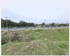  2025Ÿ��7758 ���� �������� ���޵� 1564       ����(�Ӿ�)���