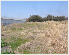  2025Ÿ��7758 ���� �������� ���޵� 1564       ����(�Ӿ�)���