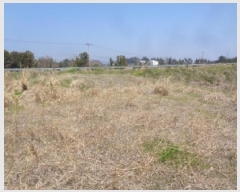  2025Ÿ��7758 ���� �������� ���޵� 1564       ����(�Ӿ�)���