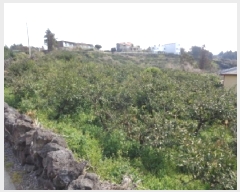  2025Ÿ��7785 ���� �������� �ȴ��� ȭ���� 1695-1      ���ð��