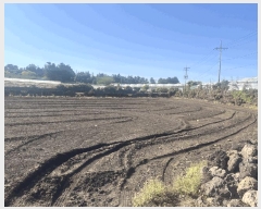  2025Ÿ��7831  �����