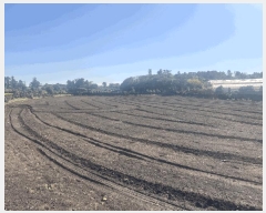  2025Ÿ��7831  �����