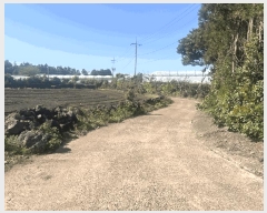  2025Ÿ��7831  �����