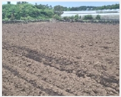  2025Ÿ��7831  �����