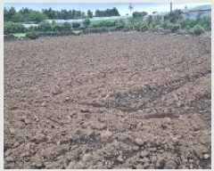  2025Ÿ��7831  �����