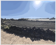  2025Ÿ��7831  �����