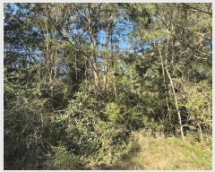  2025Ÿ��7849 ���� ���ֽ� ��õ�� ���̸� 59      ����(�Ӿ�)���