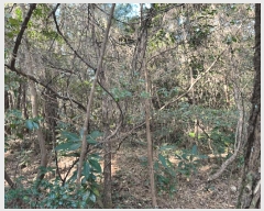  2025Ÿ��7849 ���� ���ֽ� ��õ�� ���̸� 59      ����(�Ӿ�)���