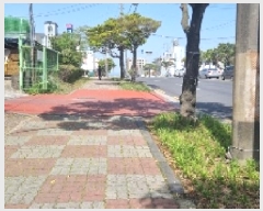  2025Ÿ��7849 ���� ���ֽ� ��õ�� ���̸� 59      ����(�Ӿ�)���