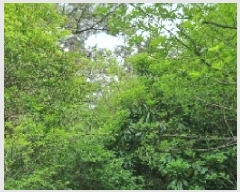  2025Ÿ��7849 ���� ���ֽ� ��õ�� ���̸� 59      ����(�Ӿ�)���