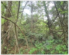  2025Ÿ��7849 ���� ���ֽ� ��õ�� ���̸� 59      ����(�Ӿ�)���