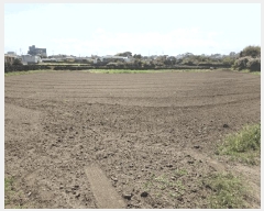  2025Ÿ��7867 ���� ���ֽ� ������ �ϵ��� 639-1      ����(��1)���