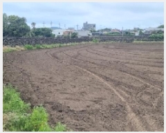  2025Ÿ��7867 ���� ���ֽ� ������ �ϵ��� 639-1      ����(��1)���