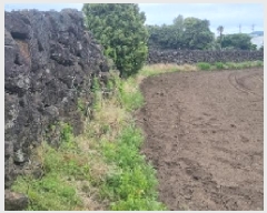  2025Ÿ��7867 ���� ���ֽ� ������ �ϵ��� 639-1      ����(��1)���