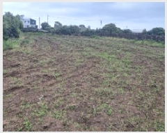  2025Ÿ��7867 ���� ���ֽ� ������ �ϵ��� 639-1      ����(��1)���