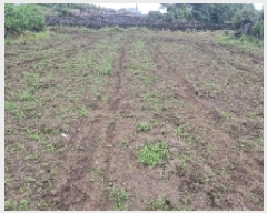  2025Ÿ��7867 ���� ���ֽ� ������ �ϵ��� 639-1      ����(��1)���