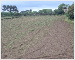  2025Ÿ��7867 ���� ���ֽ� ������ �ϵ��� 639-1      ����(��1)���